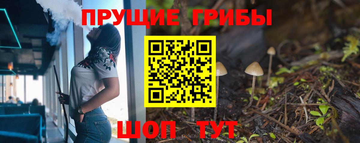 Псилоцибиновые грибы GOLDEN TEACHER Ставрополь