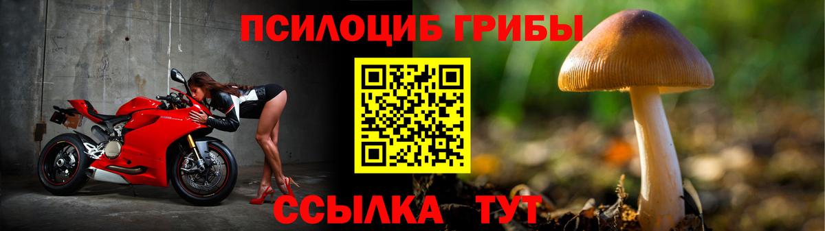 Ставрополь  Галлюциногенные грибы MAGIC MUSHROOMS  Вход с VPN  Псилоцибиновые грибы Cubensis 